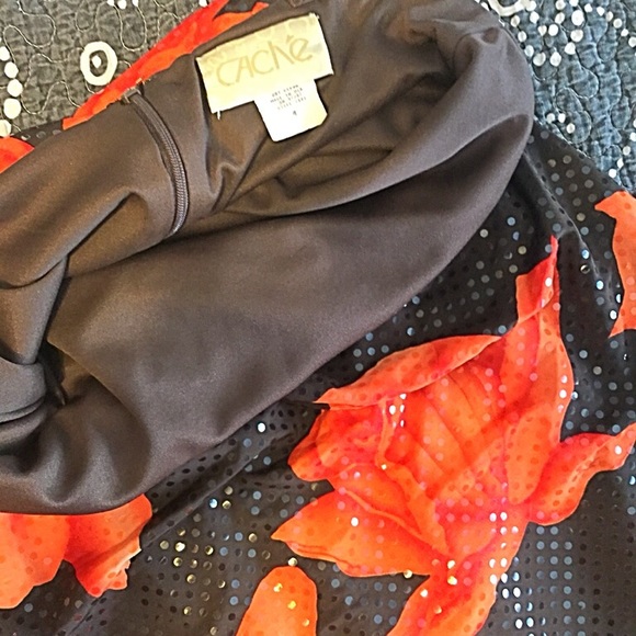 Strapless sexy dress from cache - Picture 6 of 6